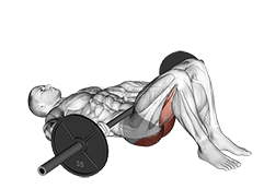 Barbell Glute Bridge 