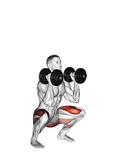 Image of Dumbbell Front Squat