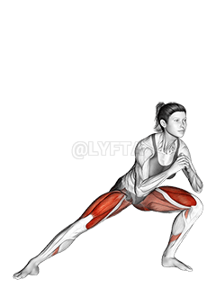 Side Lunge  demonstration