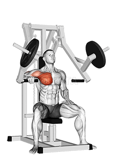 Lever One Arm Chest Press demonstration