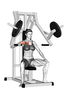 Lever One Arm Chest Press demonstration