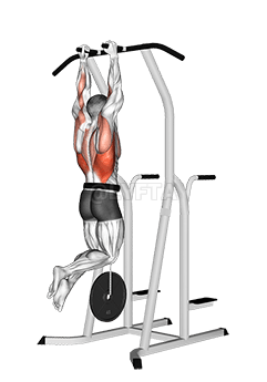 Weighted Hammer Grip Pull-up on Dip Cage demonstration