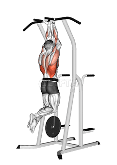 Weighted Close Grip Chin-up on Dip Cage demonstration