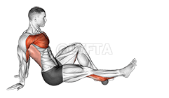 Thumbnail for the video of exercise: Rollball Seated Single Leg Shoulder Flexor Depresor Retractor