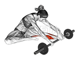 Thumbnail for the video of exercise: Calf self massage with barbell