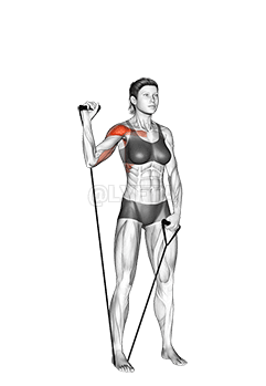 Band Single Arm Shoulder Press demonstration