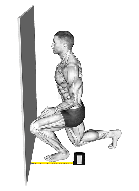 Thumbnail for the video of exercise: Sentadillas - Posición de rodilla