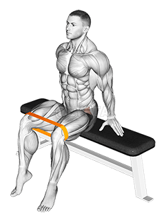 Resistance Band Seated Hip Abduction demonstration