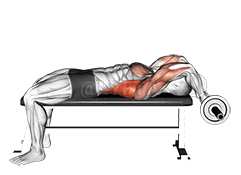 EZ Bar 躺式曲臂套头衫 demonstration