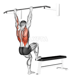 Bench Pull-ups demonstration