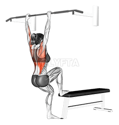 Bench Pull-ups demonstration