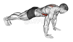 Scapula Push-up
