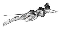 Thumbnail for the video of exercise: Band Lying Hip External Rotation