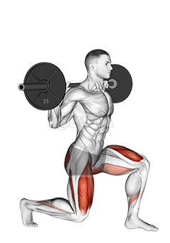 Image of Barbell Split Squat