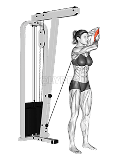 Thumbnail for the video of exercise: Cable Alternate Triceps Extension