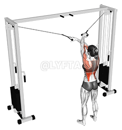 Cable Cross over Lateral Pulldown demonstration