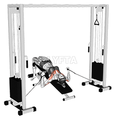 Cable Decline Press demonstration