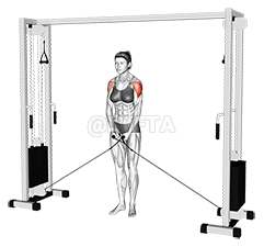 Cable Lateral Raise demonstration