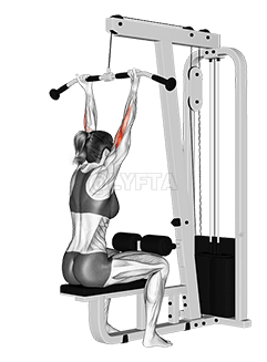 Cable Pulldown Bicep Curl demonstration