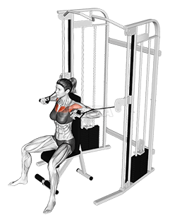 Cable Seated Chest Press demonstration