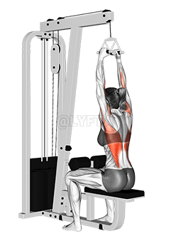 Cable Seated High Row demonstration