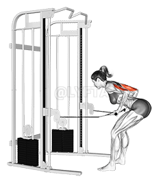 Cable Two Arm Tricep Kickback demonstration