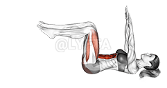 Dead Bug demonstration