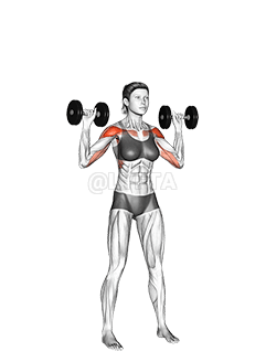 Dumbbell Alternate Shoulder Press demonstration