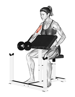 Dumbbell Single Arm Preacher Curl demonstration