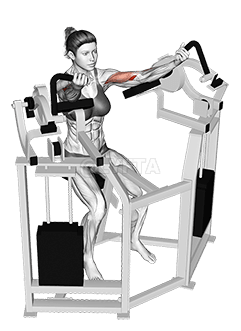 Lever Bicep Curl demonstration
