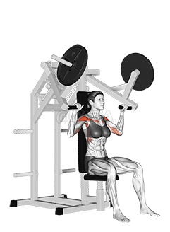 Lever Military Press demonstration