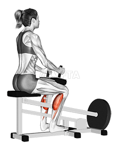 Lever Seated Calf Raise demonstration