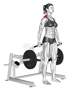 Lever Shrug demonstration