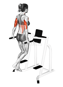 Triceps Dip demonstration