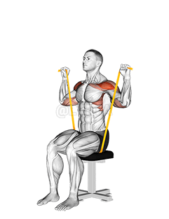 Thumbnail for the video of exercise: Schulterdrücken mit Widerstandsband im Sitzen
