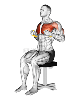 Thumbnail for the video of exercise: Brustpresse mit Widerstandsband im Sitzen