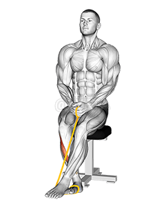 Thumbnail for the video of exercise: Инверсия стопы с эспандером