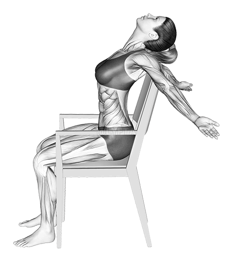 Thumbnail for the video of exercise: Static Position Seated Back