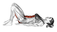 Thumbnail for the video of exercise: Pelvic Tilt