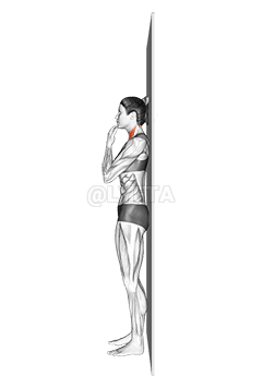 Thumbnail for the video of exercise: Assisted Chin Tuck