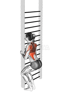 Thumbnail for the video of exercise: Bodyweight Squatting Row