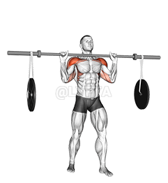 Barbell Military Press demonstration