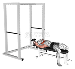 Dumbbell Straight Arm Pullover demonstration