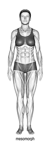 Thumbnail for the video of exercise: Body Type