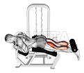 Lever Lying Two-One Leg Curl demonstration