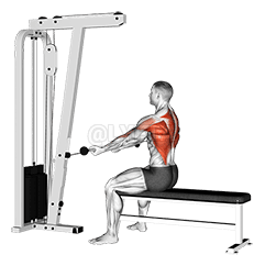 Cable Seated Supine-grip Row demonstration