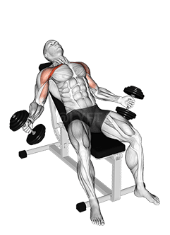 Hyght Dumbbell Fly demonstration