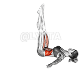 Lying Leg Raise to Side