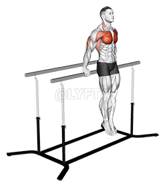 Korean dips demonstration