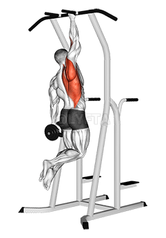 Weighted One Hand Pull up demonstration